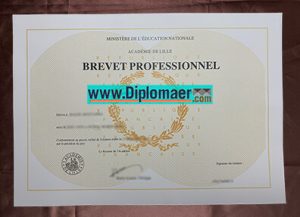Académie de Lille fake degree