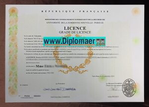 Paris III fake degree