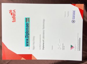 Tafe SA Fake Degree