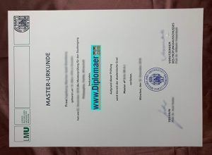 Ludwig-Maximilians-Munich University Fake Degree