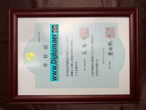 the University of Tokyo Fake Degree