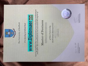 The University of Sheffield Fake Diploma