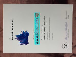 University of Brighton Fake Diploma
