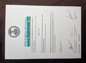 Vrije Universiteit amsterdam fake diploma
