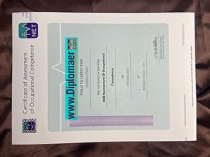 AM2 Fake Diploma