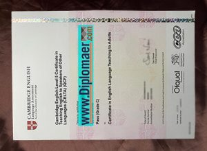 CELTA Fake Diploma