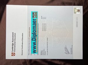 Cambridge Assessment GCE Fake Diploma