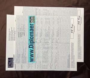 Pace University fake transcript