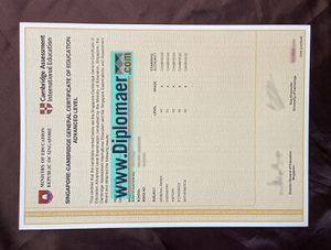 Singapore GCE O-Level fake diploma