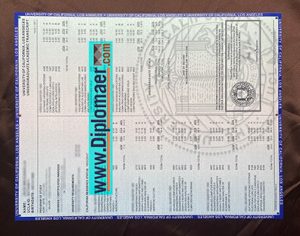 UCLA Fake Transcript