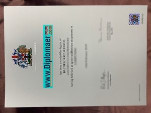 University of Greenwich Fake Diploma