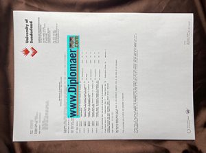 University of Sunderland Fake Transcript
