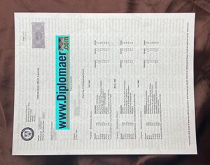 University of Waterloo fake transcript