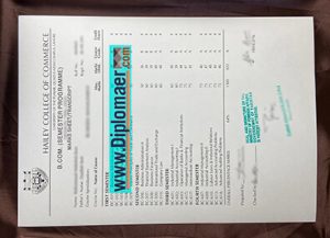 University of the Punjab Fake Transcript