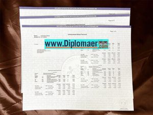 The Pennsylvania State University Fake Diploma