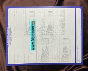 The Georgia Institute of Technology fake diploma