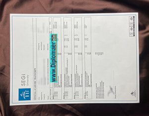 Segi University fake transcript