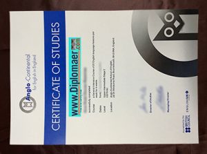 Anglo Continental fake diploma