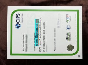 CIPS fake diploma