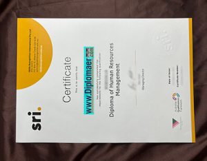 Skills Recognition International fake diploma