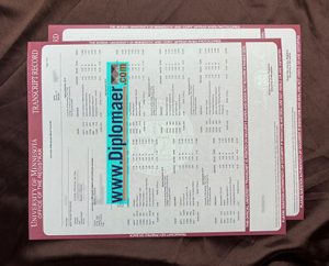 University of Minnesota fake transcript